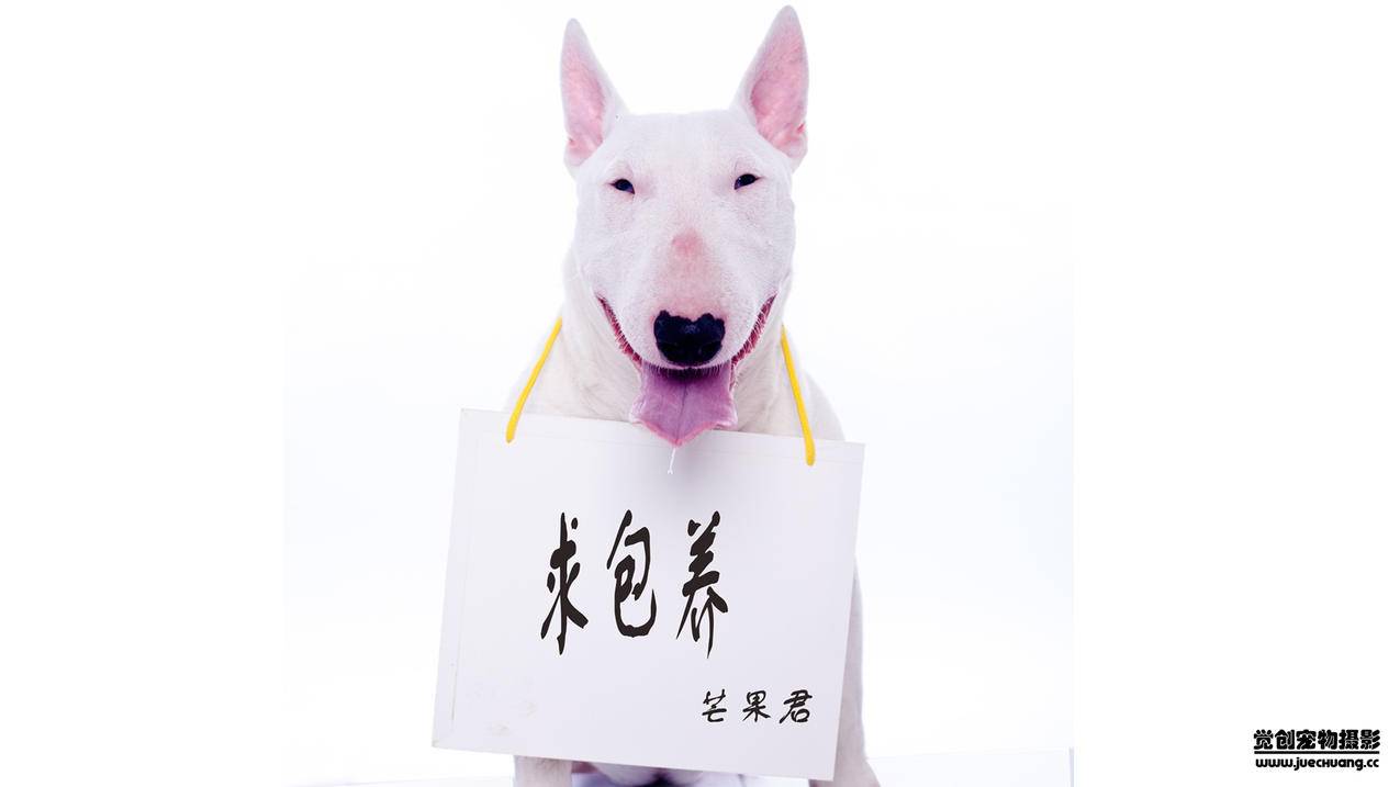 网红商城